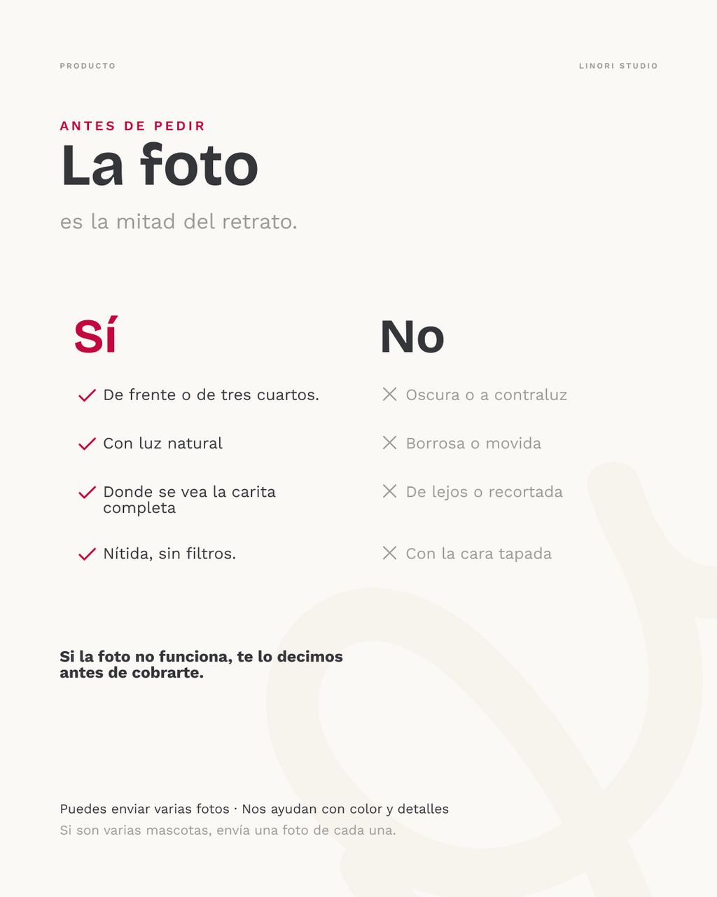 Requisitos para la foto de referencia de un retrato de mascota: vista de frente, buena iluminación, sin filtros y con el rostro visible.